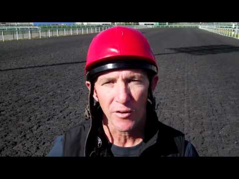 Kevin Shea previews his 2011 Dubai World Cup rides