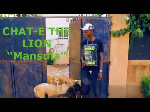 Chat-E The Lion - "Mansula" (New official music video and track 2019)