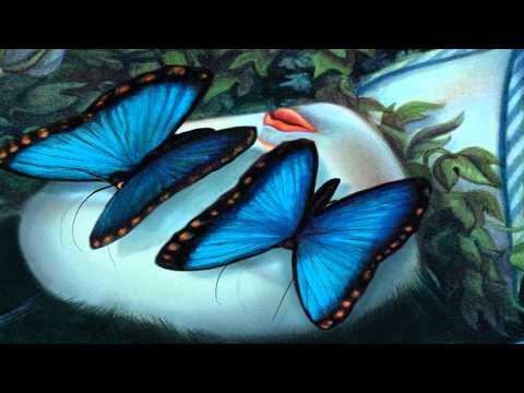 Los Amantes Mariposa - Madame Butterfly de Benjamín Lacombe