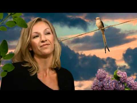 EBBA FORSBERG  Sparv ( Bird on the Wire )