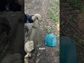 Russia S Weird Bulletproof Vests Shortvideo War Military Facts