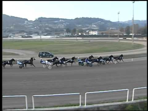 Trotto 23/11/2014 - 4° corsa