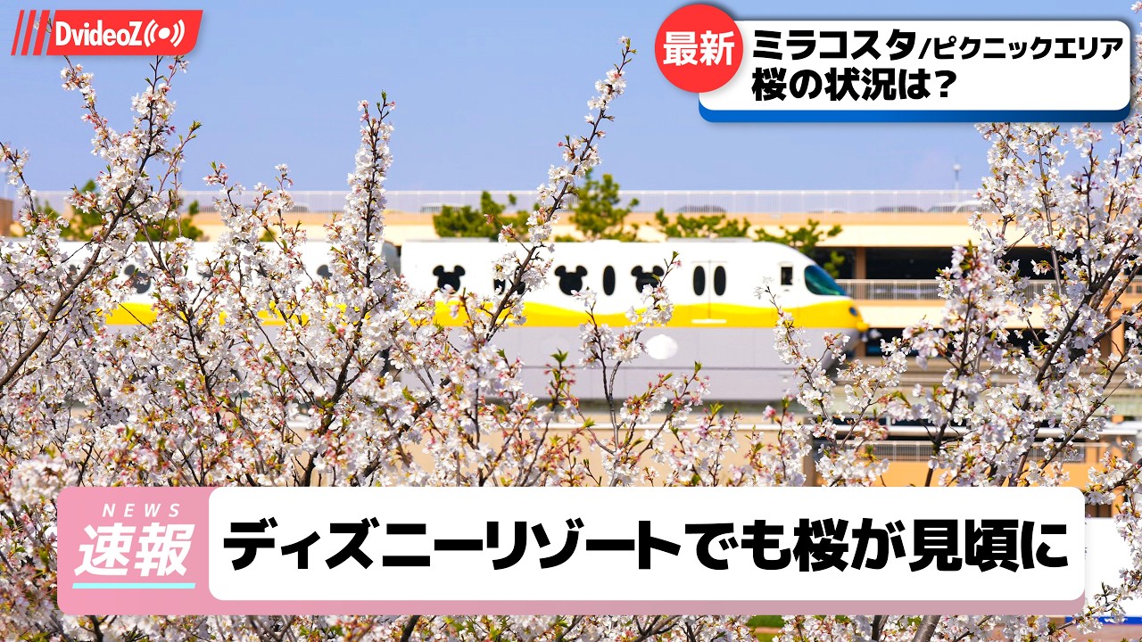 桜満開！ミラコスタ＆ピクニックエリアでお花見＆リゾートラインの旅