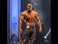 19년 나바코리아 GP 피지크 프로전 하이라이트