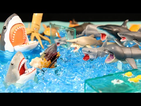 Scary Shark Toy  Jaws figure set
