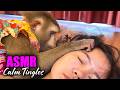 Monkey ASMR Head Scratches Gentle Tingles Fall Asleep In 10 Minutes No Talking