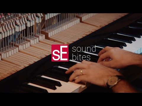 SE Electronics RN17P