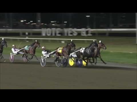 Meadowlands Pace Winterbook 2017