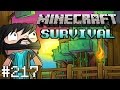 Minecraft : Survival - Noodle Topia Walls - #217 ...