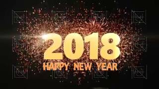 VJ material/TL17 New Year