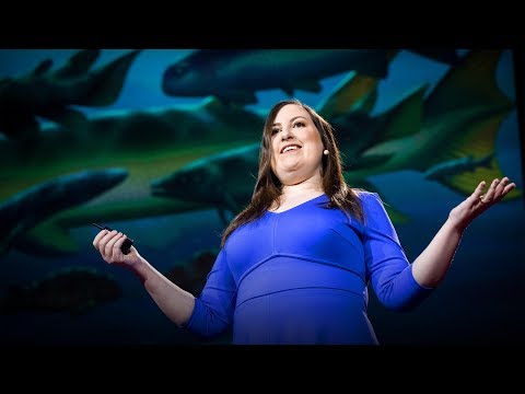 TED】Lauren Sallan 進化で勝つ方法、大量絶滅を生き抜く方法 (進化で勝つ方法、大量絶滅を生き抜く方法｜ローレン・サラン) (【TED】Lauren Sallan: How to win at evolution and survive a mass extinction (How to win at evolution and survive a mass extinction | Lauren Sallan))