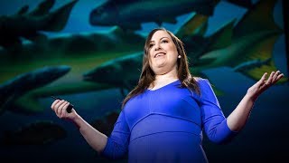 How to win at evolution and survive a mass extinction | Lauren Sallan
