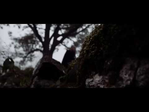 Bengt Ahlforsi komöödia “ILLUSIONISTID”