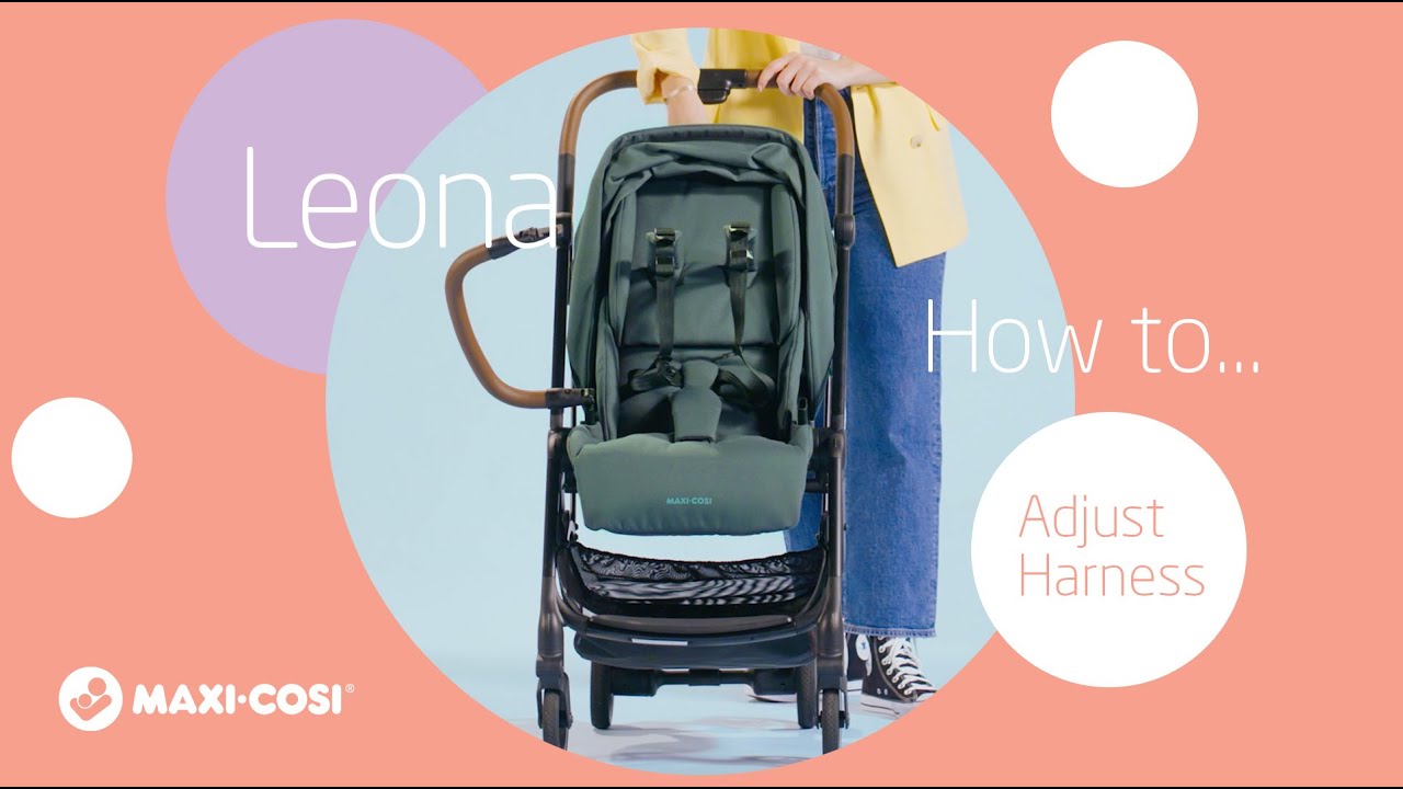 How to adjust harness