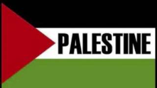 FREE FREE PALESTINE