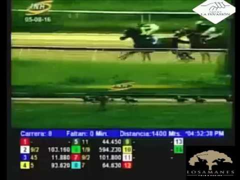 VALENCIA 8 CARRERA, VIERNES 05 DE AGOSTO DEL 2016