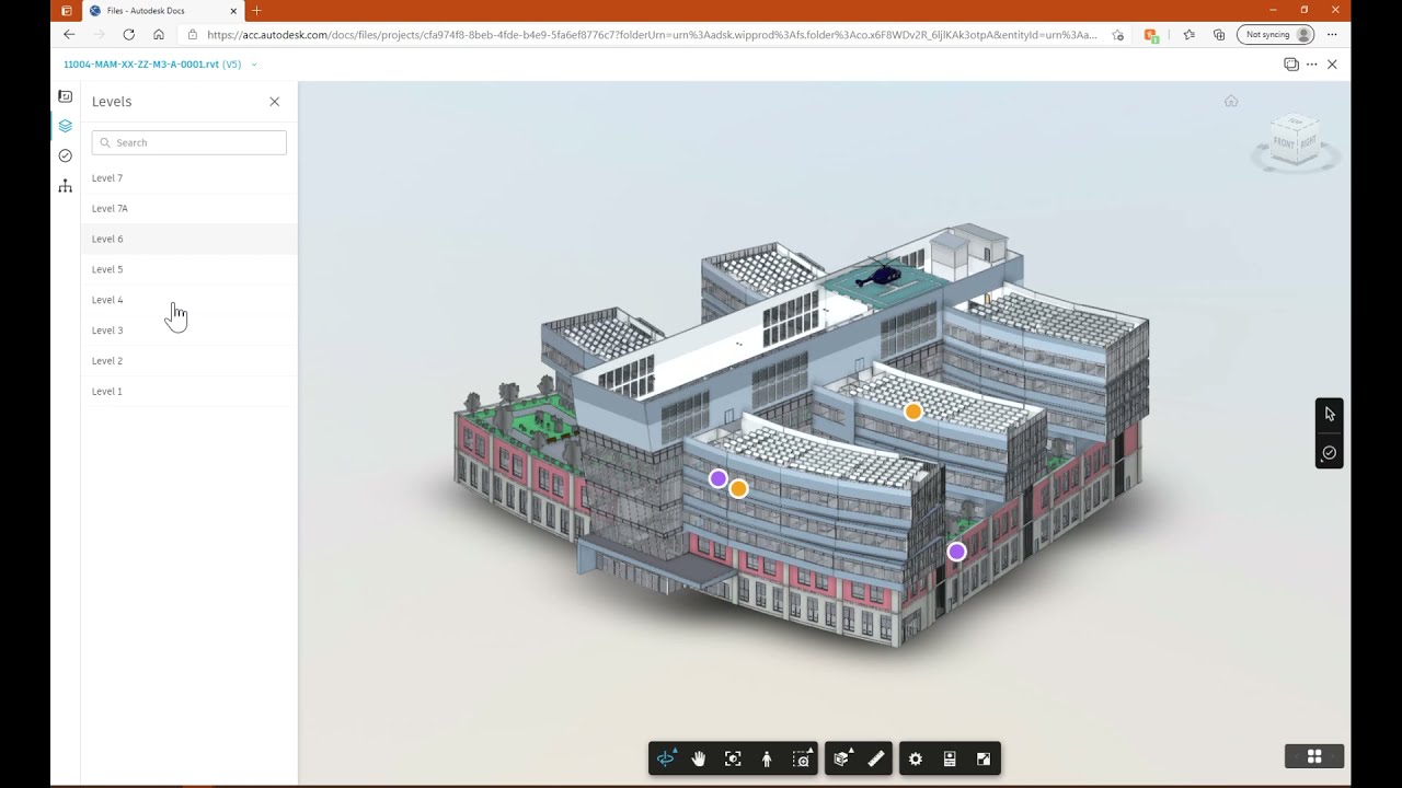 Issues - Autodesk Docs to Revit