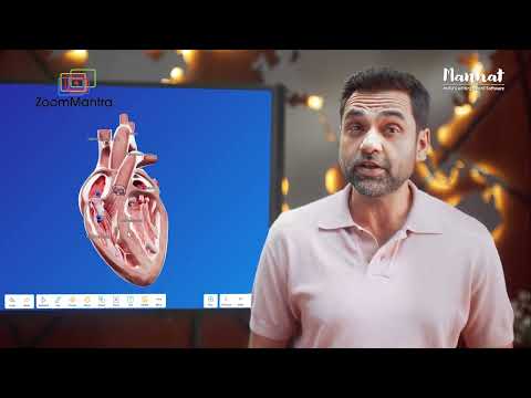 DLS (Digital Live Service) Mannat Software Multiple cut 6