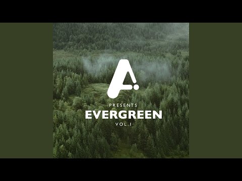 Sunday Blues (KVRVBO Remix)