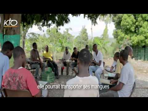 Haïti : des mangues au service de la reconstruction