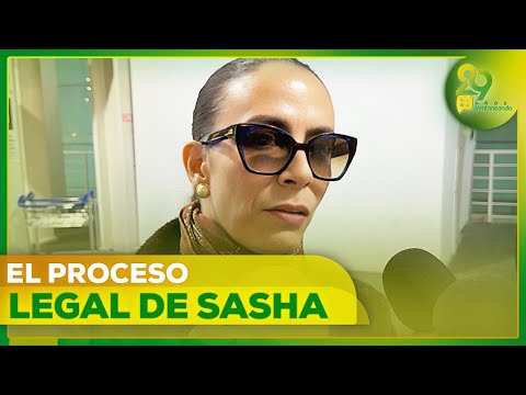 Sasha Sokol habló del proceso legal en contra de Luis de Llano | Ventaneando