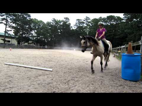 Buckskin Dressage