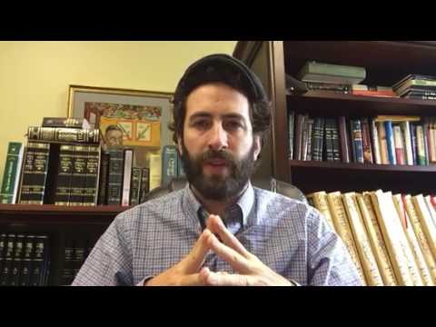 Netziv on the Parsha - Behaalotcha