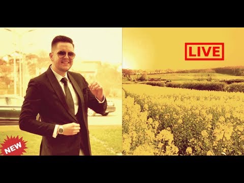 Marian Pavel - De-as amaneta un gram LIVE (COVER)