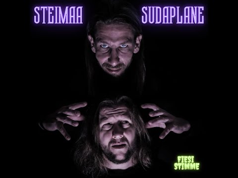 Steimaa X Su Da Plane "Fiesi Stimme"