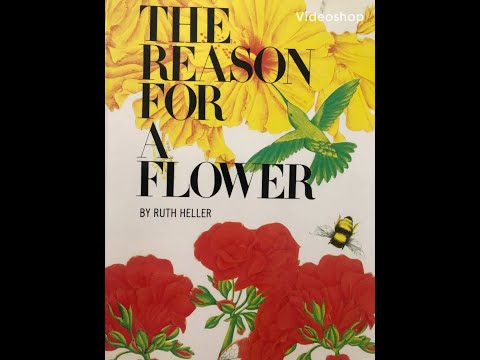 The Reason For A Flower