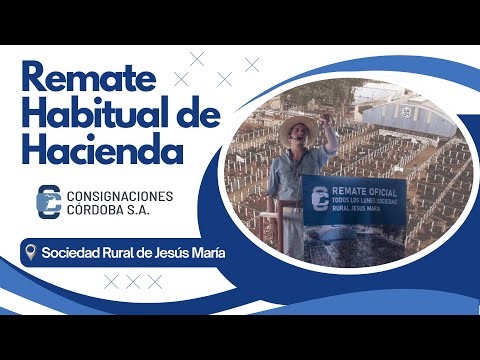 Fecha 19/01/2026 - Remate habitual de Consignaciones Córdoba - Segunda Parte