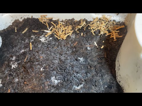UPDATE PART 7 - Wrapping Up the DIY Indoor Table Top Pre-compost Bin!