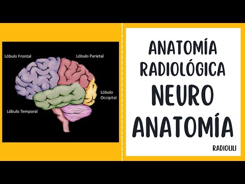 Anatomía Radiológica: Neuroanatomía.