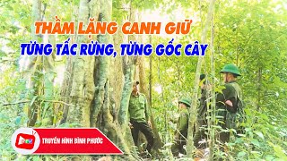 Download the video "CHUYỆN MỖI NGÀY 2-5-2025 |BPTV"