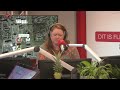 Steekpartij in Lelystad