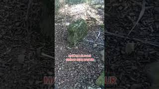 Download lagu MAKAM SIMBAH BEKU BANTIR#shorts#short mp3