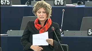 Gál Kinga az EU csatlakozásáról az Emberi Jogok Európai Egyezményéhez