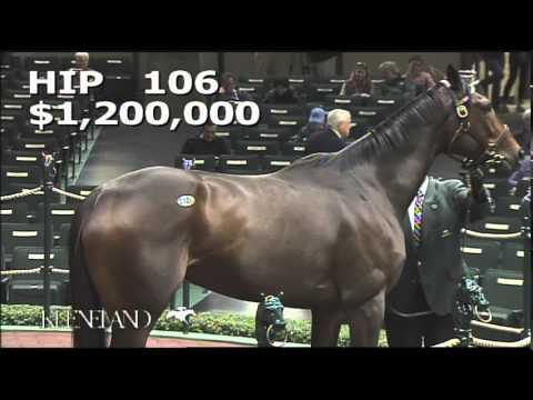 2014 November Breeding Stock Sale: Hip 106 - Iotapa