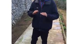 Mis golpes maestros, el cejas.