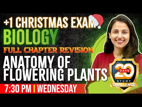 Plus One Biology Christmas Exam | Anatomy of Flowering Plants | Full Chapter/Chapter 6 | Exam Winner