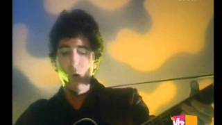 Stan Ridgway - Camouflage