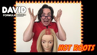 HOW TO AVOID HOT ROOTS / COLOR CORRECTION TIPS / DAVID STANKO FORMULA BOSS™