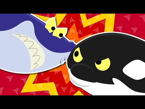 👑 King of the Sea |  Shark VS  Killer Whale💥 | Sea Animal Song | Nursery Rhymes for Kids★ TidiKids