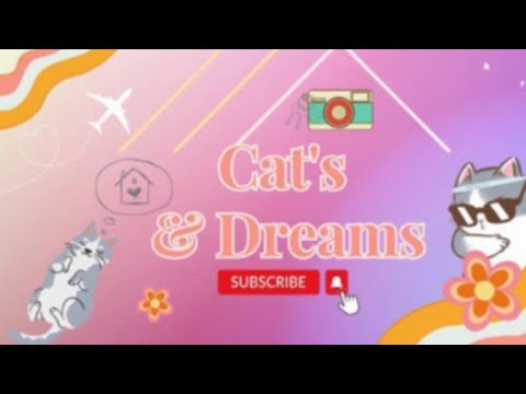 A life of indoor Cat's & Stray Cats #cat #catsdreams #straycat #trending #love