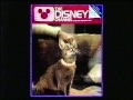 Disney Channel Magazine Promo June 1984 Mp4