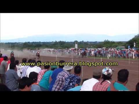 Chaqueñita, Don Sohar (14-02-16)