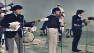 The Hollies - Look Through Any Window (1965)