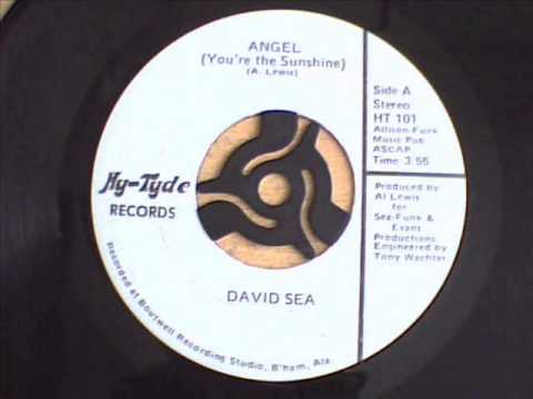 David Sea  -  Angel (you`re the sunshine)