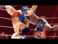 EVERY Quinton Rampage Jackson Finish EVER