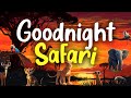 Goodnight Safari 🦁 | ULTIMATE Calming Bedtime Story for Babies and Toddlers with Rain Sounds - DreamyTales Goodnight Safari 🦁 | ULTIMATE Calming Bedtime Story for Babies and Toddlers with Rain Sounds